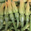 Bí nụ baby 500gr